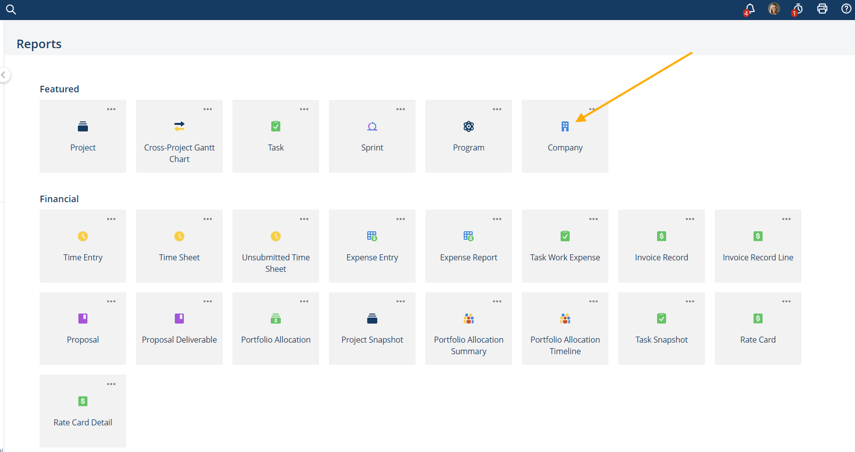 Company Report in the Project Insight Reports menu