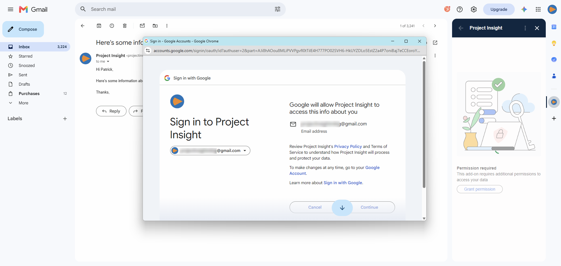 Google authorization window for Project Insight