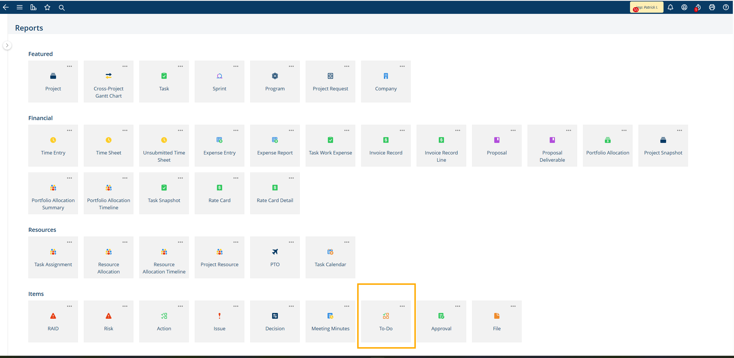 Project Insight to-do report filtering and display options
